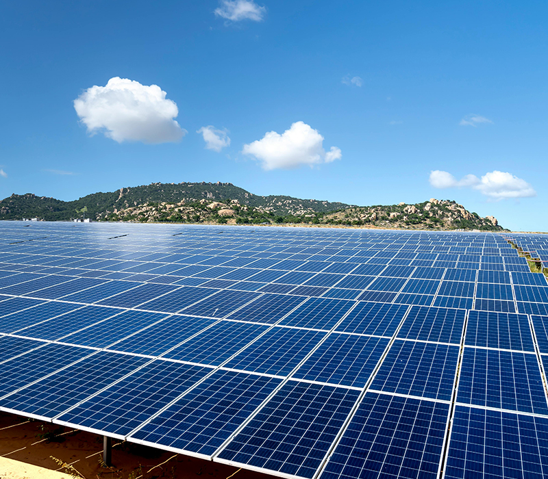 شركة المستقبل المتنوع للأعمال ش م م